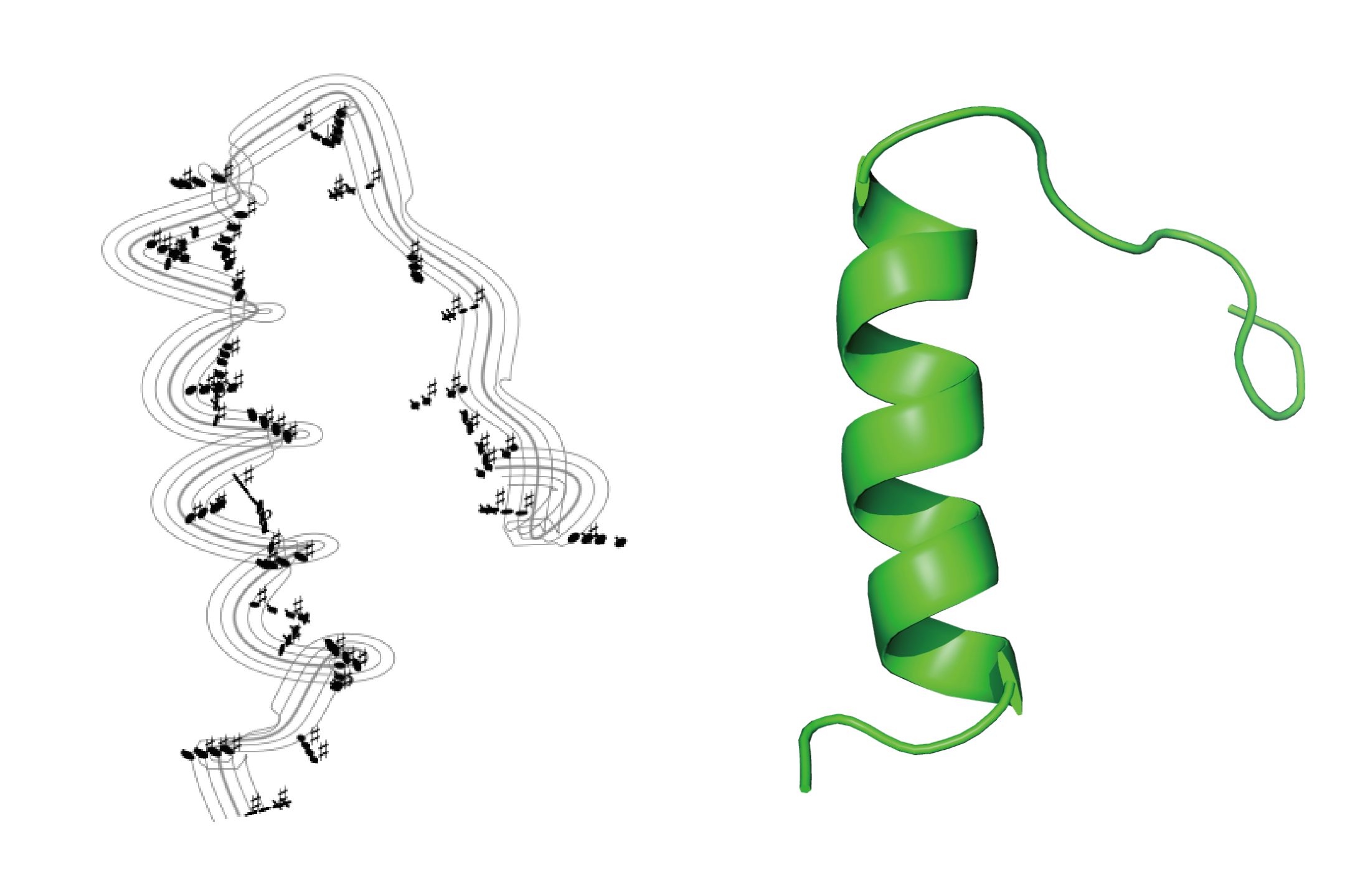 Musical Notes Protein Topo.Bio